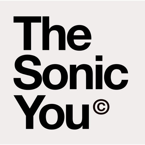 The Sonic You The Sonic You
